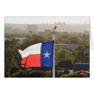 Texas Flag