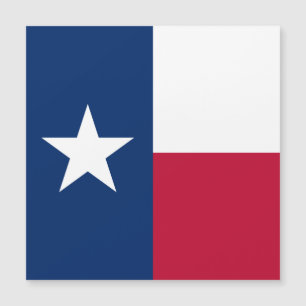 Texas Flag: Longhorns, The Texan Lone Star State