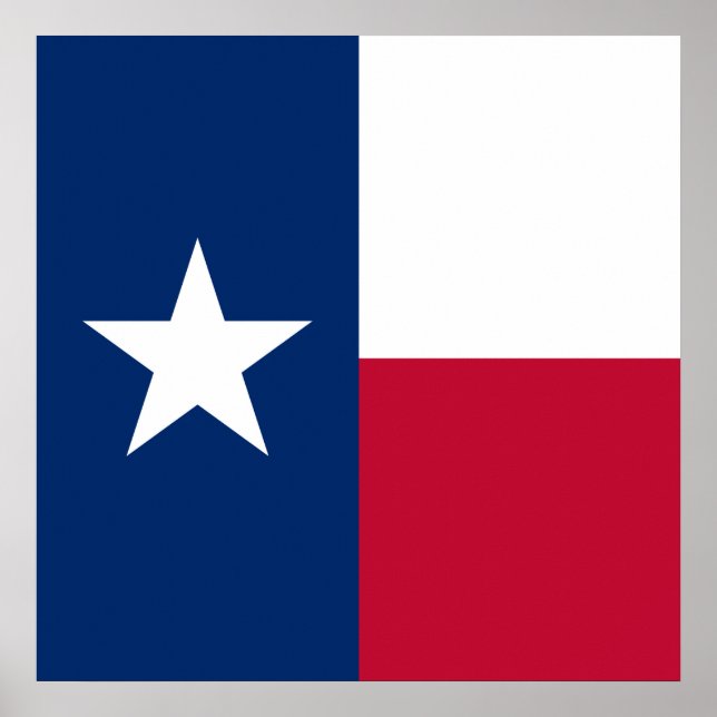 Texas Flag: Longhorns, The Texan Lone Star State Poster (Front)