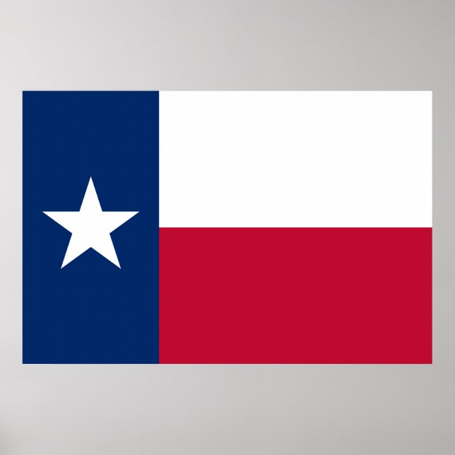Texas Flag: Longhorns, The Texan Lone Star State Poster (Front)