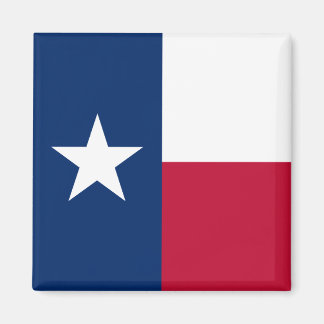 Texas Flag Magnet