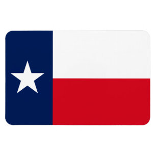 TEXAS Flag - Magnet