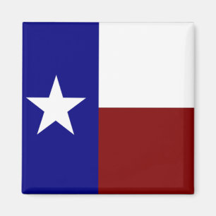 Texas: Flag of Texas Magnet