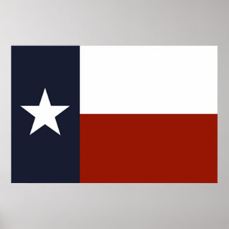 Texas Flag Poster