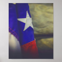 Texas Flag Rustic Lone Star State USA