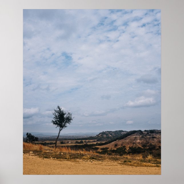 Texas Hill Country Landscape Poster (Front)