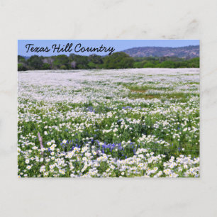 Texas Hill Country Postcard
