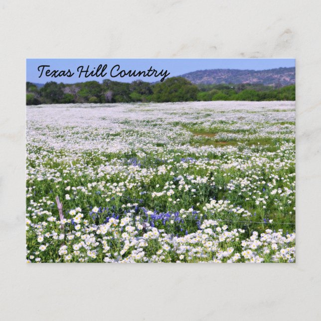 Texas Hill Country Postcard (Front)