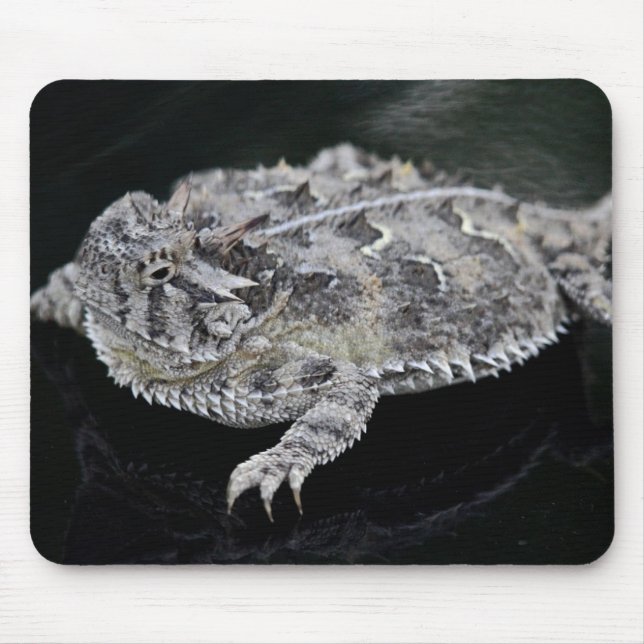 Texas Horned Lizard - Texas State Reptile Mouse Mat (Front)
