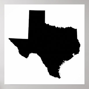 Texas in Black and White Poster