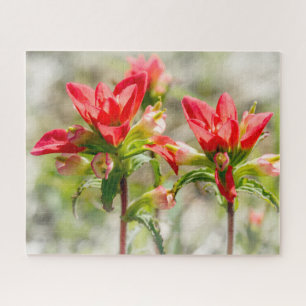 Texas Indian Paintbrush Flowers on white Jigsaw Puzzle