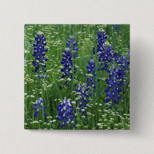 Texas, Lake Buchanan. Texas Bluebonnet and Wild 15 Cm Square Badge
