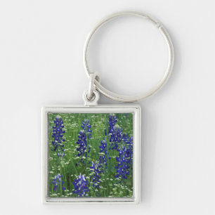 Texas, Lake Buchanan. Texas Bluebonnet and Wild Key Ring