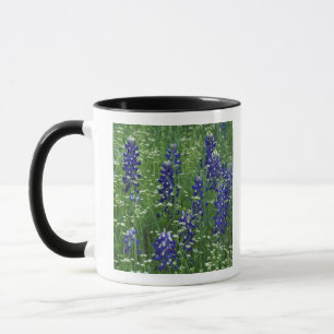 Texas, Lake Buchanan. Texas Bluebonnet and Wild Mug