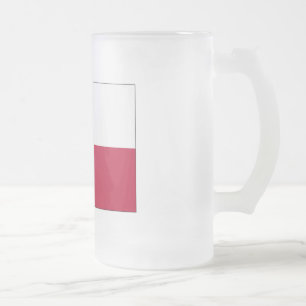 Texas Lone Star Flag Frosted Glass Beer Mug