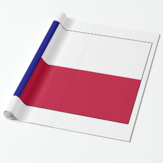 Texas Lone Star Flag Wrapping Paper