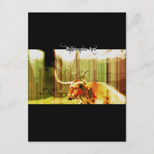 Texas Long Horn Postcard