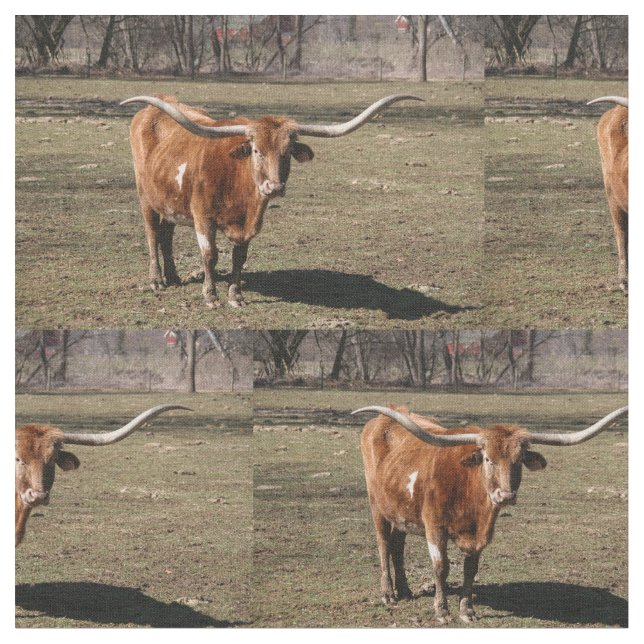Texas Long Horns! Fabric (Close Up)