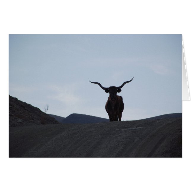 Texas Longhorn (Front Horizontal)