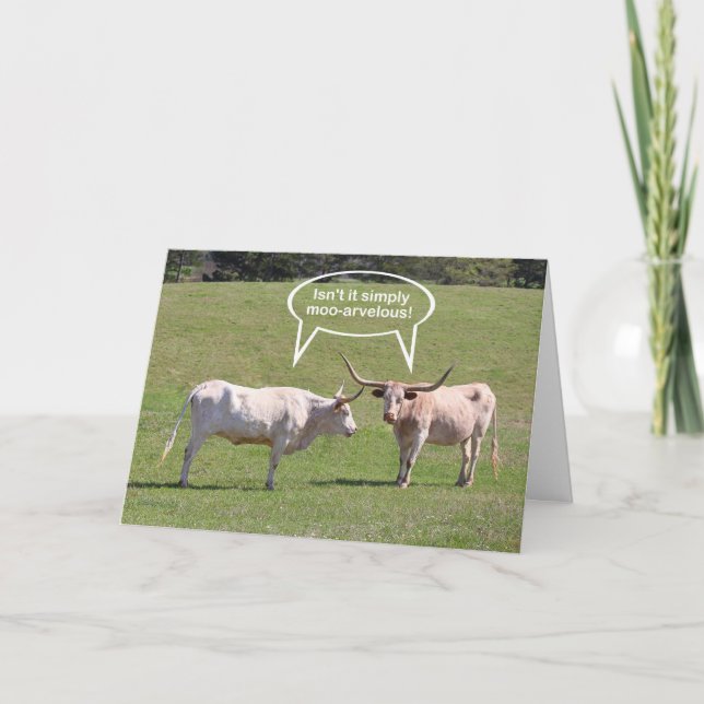 Texas Longhorn Birthday Wishes Card (Front)