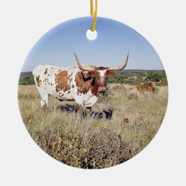 Texas Longhorn Breed (photo) Ceramic Tree Decoration (Front)