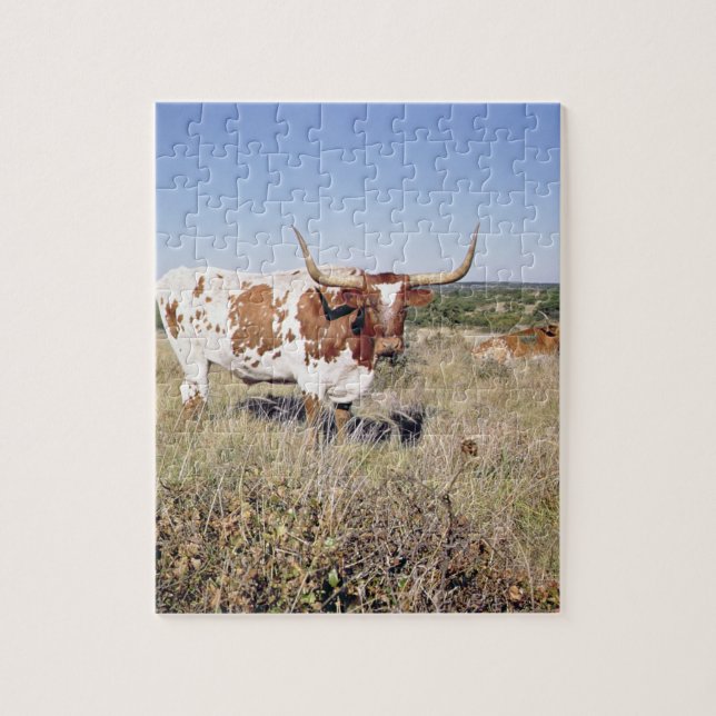 Texas Longhorn Breed (photo) Jigsaw Puzzle (Vertical)