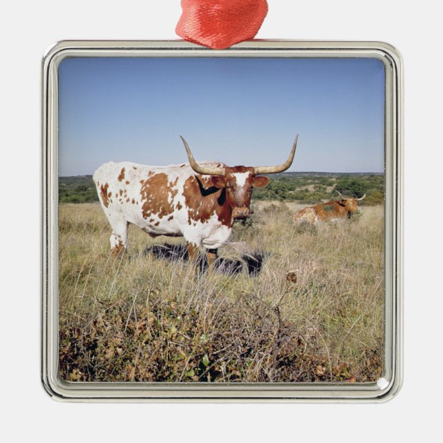 Texas Longhorn Breed (photo) Metal Tree Decoration (Front)