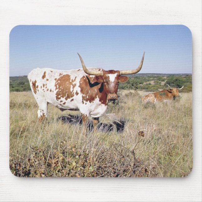 Texas Longhorn Breed (photo) Mouse Mat (Front)
