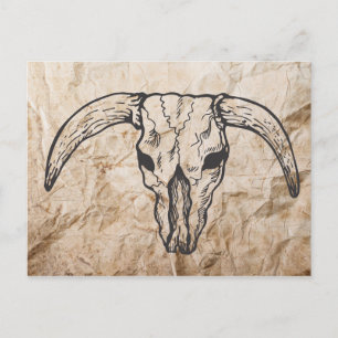 Texas Longhorn Bull Skull Postcard