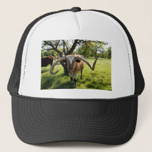 Texas Longhorn Bull Trucker Hat