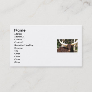 TEXAS LONGHORN business cards