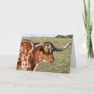 Texas Longhorn Card