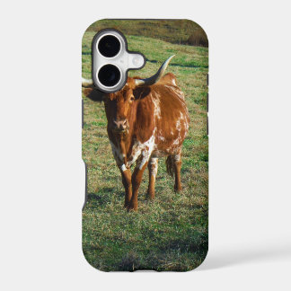 Texas Longhorn Cattle Cow Photo Rustic