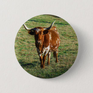 Texas Longhorn Cattle Cow Photo Rustic 6 Cm Round Badge
