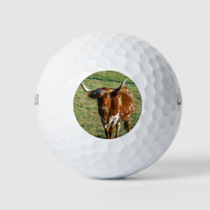 Texas Longhorn Cattle Cow  Photo Rustic  Golf Balls
