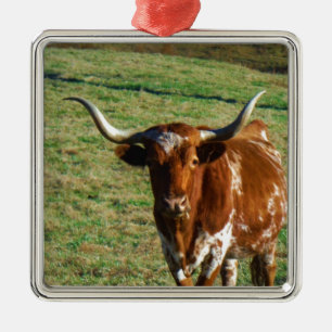 Texas Longhorn Cattle Cow  Photo Rustic Metal Tree Decoration