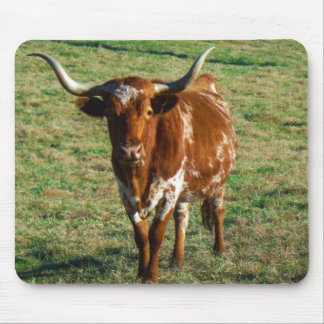 Texas Longhorn Cattle Cow  Photo Rustic Mouse Mat