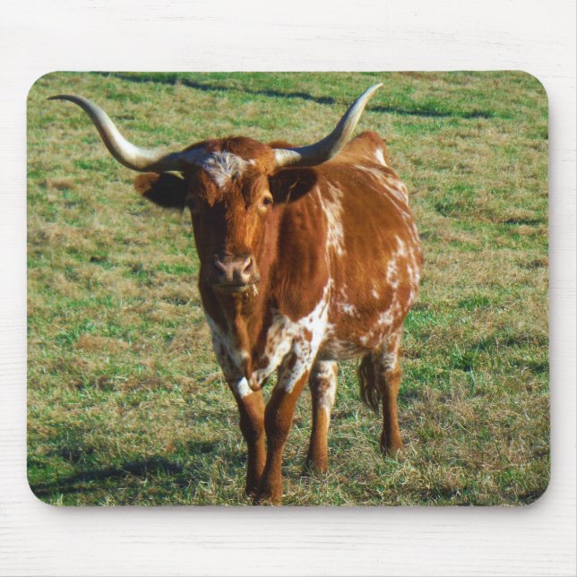 Texas Longhorn Cattle Cow  Photo Rustic Mouse Mat (Front)