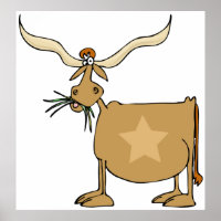 Texas Longhorn Cow