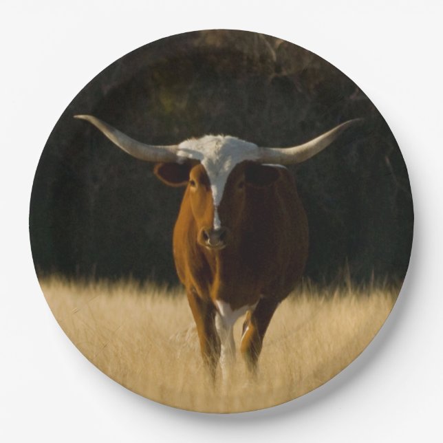 Texas Longhorn Paper Plates (Front)
