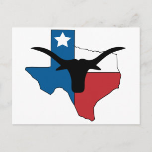 Texas Longhorn Postcard