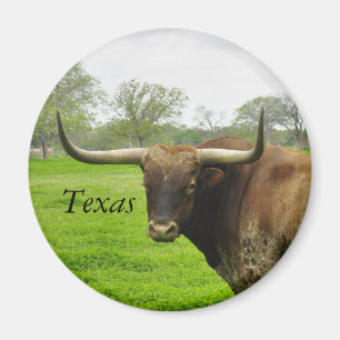 Texas Longhorn Round Magnet