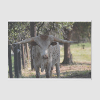 Texas Longhorn Tissue Paper