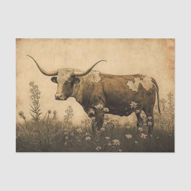 Texas Longhorn Tissue Paper (Front)