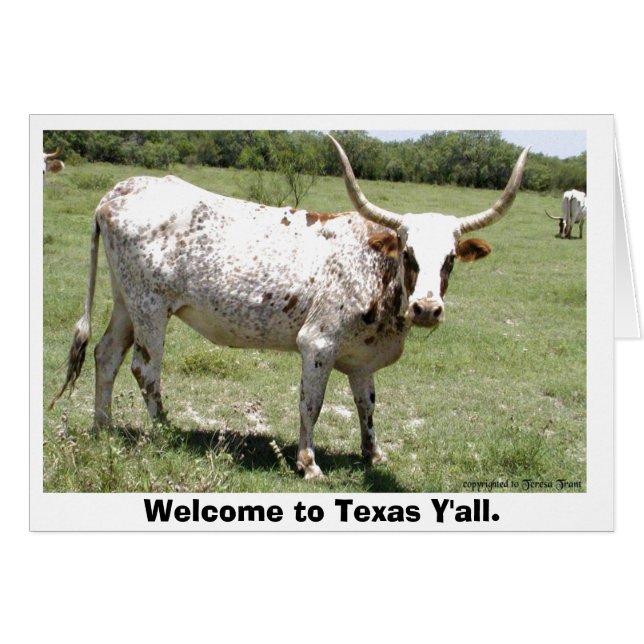 Texas Longhorn, Welcome to Texas Y'all. (Front Horizontal)