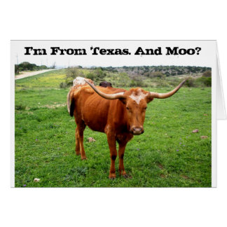 Texas Longhorn With Funny Texas Saying