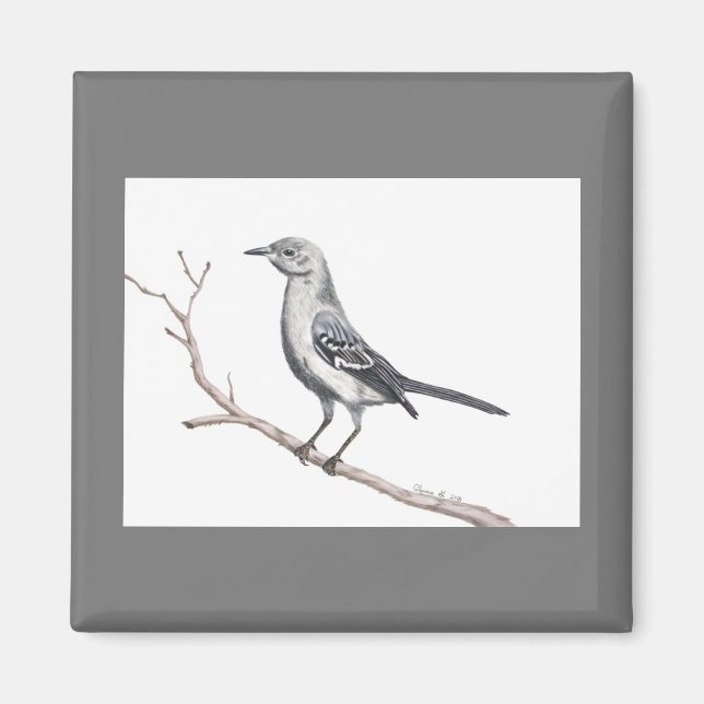 Texas Mockingbird Magnet (Front)