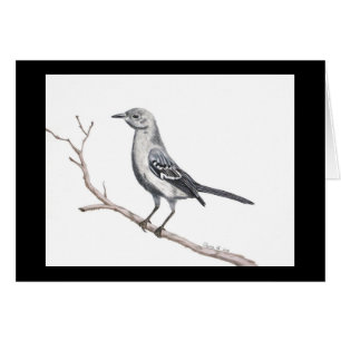 Texas Mockingbird Small Card