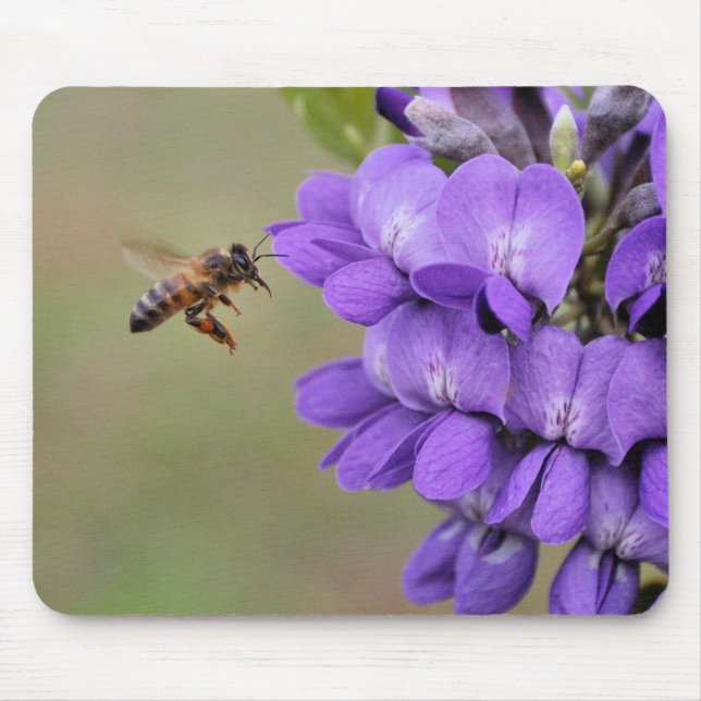 Texas Mountain Laurel Bee in Flight Mouse Mat (Front)