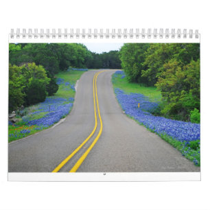 Texas' Natural Beauty 2011 Calendar